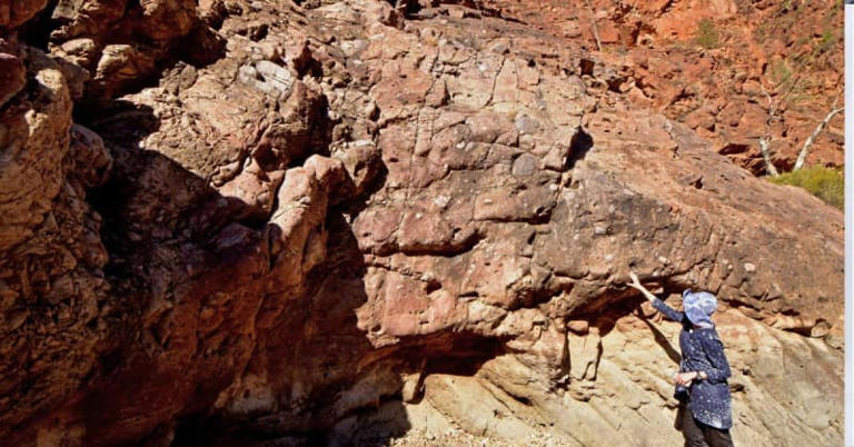  "Ancient Stromatolites"