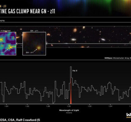 "James Webb Space Telescope supernova discovery"