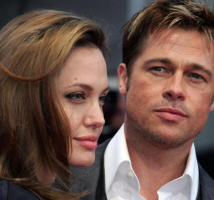 Angelina Jolie Brad Pitt abuse allegations